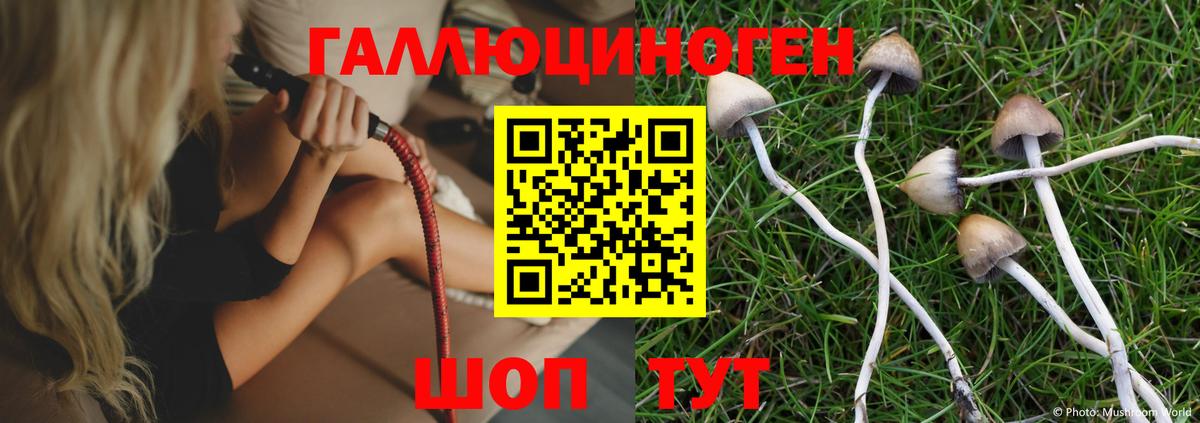 Глазов  Псилоцибиновые грибы мухоморы  Вход с VPN 